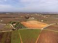 -211598421_IDf70f8201-0000-0500-0000-000013f156f6.jpg