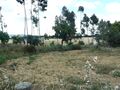 Terreno com 10875m2 Redondo - água, furo