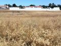Lote de terreno com 817m2 à venda Bairro do Bacelo Évora - viabilidade de construção
