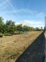Terreno com 2000m2 para venda Bairro dos Canaviais Évora - electricidade