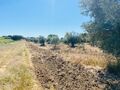 Para venda Terreno com 62000m2 Santiago Maior Alandroal - electricidade, furo, sobreiros, oliveiras, poço