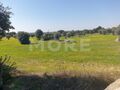 Venda de Terreno Rústico com 9000m2 Corval Reguengos de Monsaraz - furo, poço, electricidade