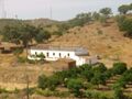 Herdade V3 com casa antiga São Bartolomeu de Messines Silves para venda - bons acessos, electricidade, poço, sobreiros, oliveiras, água