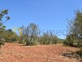 Land Rustic with 11000sqm Paderne Albufeira - easy access, electricity