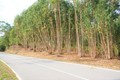 Lote de terreno Rústico com 3400m2 Almarjinhos/Marmelete Monchique para comprar - bons acessos