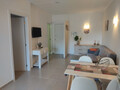 GP-APT3809