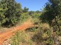 Venda de Lote de terreno Rústico com 52000m2 Salir Loulé - regadio