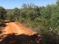 Lote de terreno Agrícola com 34900m2 Salir Loulé - água, regadio