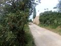 Para venda Terreno com 477.30m2 Santa Bárbara de Nexe Faro - zona muito calma