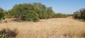 Lote Urbano com 23332m2 Ferreiras Albufeira para comprar - bom acesso, garagem
