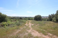 Terreno com 2500m2 Barão de São Miguel Vila do Bispo para venda - viabilidade de construção, oliveiras, árvores de fruto