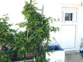-210739144_ID1ca87201-0000-0500-0000-00001211438e.jpg