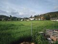 À venda Terreno Agrícola com 9027m2 Santa Catarina Santa Catarina da Fonte do Bispo Tavira - sobreiros