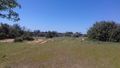 Terreno Rústico com 29580m2 para venda Porches Lagoa (Algarve) - sobreiros, oliveiras