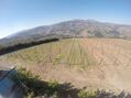 Quinta V4 nova Penajóia Lamego à venda - oliveiras, água