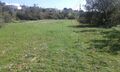 Terreno Rústico com 3760m2 Sitio da Boavista Quelfes Olhão para comprar - água da rede, electricidade