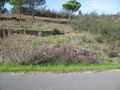 t3