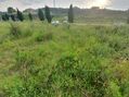 Venda de Terreno plano Travessa dos Lagueirões Valongo - viabilidade de construção, excelentes acessos