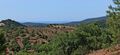 Terreno Rústico com 4860m2 Santa Catarina da Fonte do Bispo Tavira para vender - sobreiros, vista serra