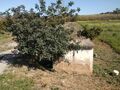 Terreno novo com 1380m2 Almargem Tavira - água, electricidade