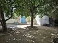 -210740300_ID81bd7201-0000-0500-0000-00001213276a.jpg