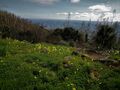 Terreno Misto com 115360m2 Picota Monchique - viabilidade de construção, água