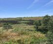 Land with 77480sqm Mexilhoeira Grande Portimão - ,