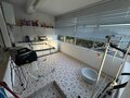 -216780574_IDe112db01-0000-0500-0000-00001a9a10a2.jpg