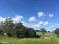 Quinta/Herdade com ruína V0 Alcantarilha e Pêra Silves para comprar