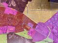 -2120121291002_6f9b47ec-d543-4ec7-b7bb-f4eed06dbcb1.jpg