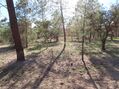-2120461028758_deadbec7-fe55-4ec7-a0b5-cd53182cd4af.jpg