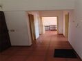 -2120461028944_1b350557-de79-4939-8393-08eaa28ebf9e.jpg