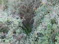 -2120461031474_573eb338-bef9-4b05-ba56-287e695efda4.jpg