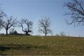 -2120581090429_664c7020-38fe-40ee-8c6c-785dca356107.jpg