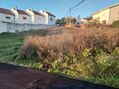 -2121261106097_cbb21875-c1d4-4839-a577-faadf8293554.jpg