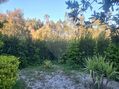 -2122591004869_473760b4-b469-4fae-9c33-4a45d3a4f607.jpg