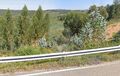 -2125091037044_311d4711-c1b4-427d-a4e2-6bbeafb5f428.jpg