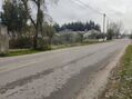 -2126041028035_21ed93d7-8c06-4dc0-af38-8ab535160e7c.jpg