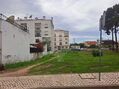 -2126321071004_05ac8623-acd1-47fc-8231-0906602cbb80.jpg