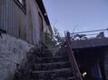 -2126611007011_309f2816-2c32-4eef-a4ef-4d0ce9cf8f24.jpg