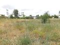 Terreno com 5830m2 Lagoa (Algarve) para vender - viabilidade de construção
