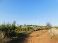 -611075166_terreno-seia-carragozela-e-varzea-de-meruge_14_1_1075166_13637788_2_1_RINuJiLa4av3dtdiI_2fNnobS_2bXoa4ciZM8Da3wQA0j6LEB8h4ZPpqcw_.jpg