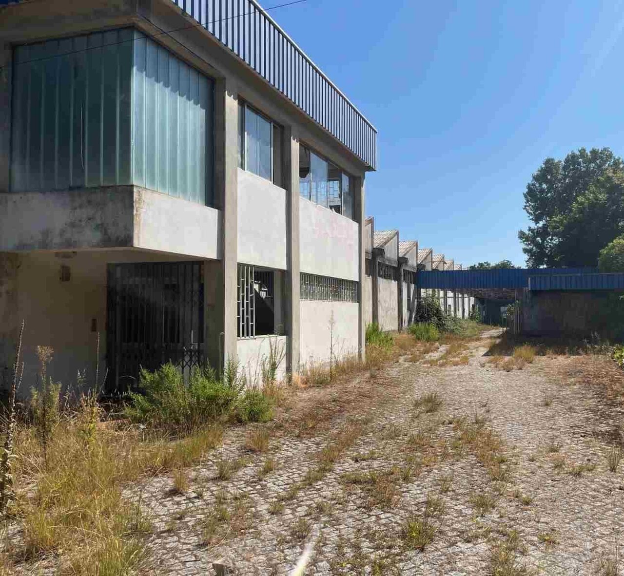 Склад c 1950m2   Oliveira de Azeméis