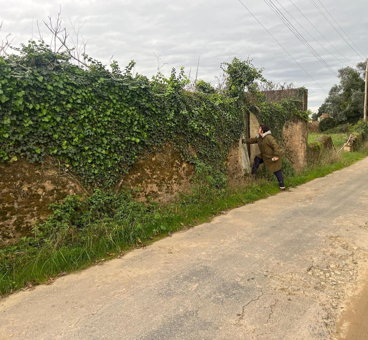 Land with 4346sqm Loureiro Oliveira de Azeméis