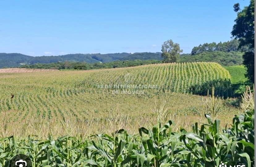 Quinta/Herdade V0 Itararé
