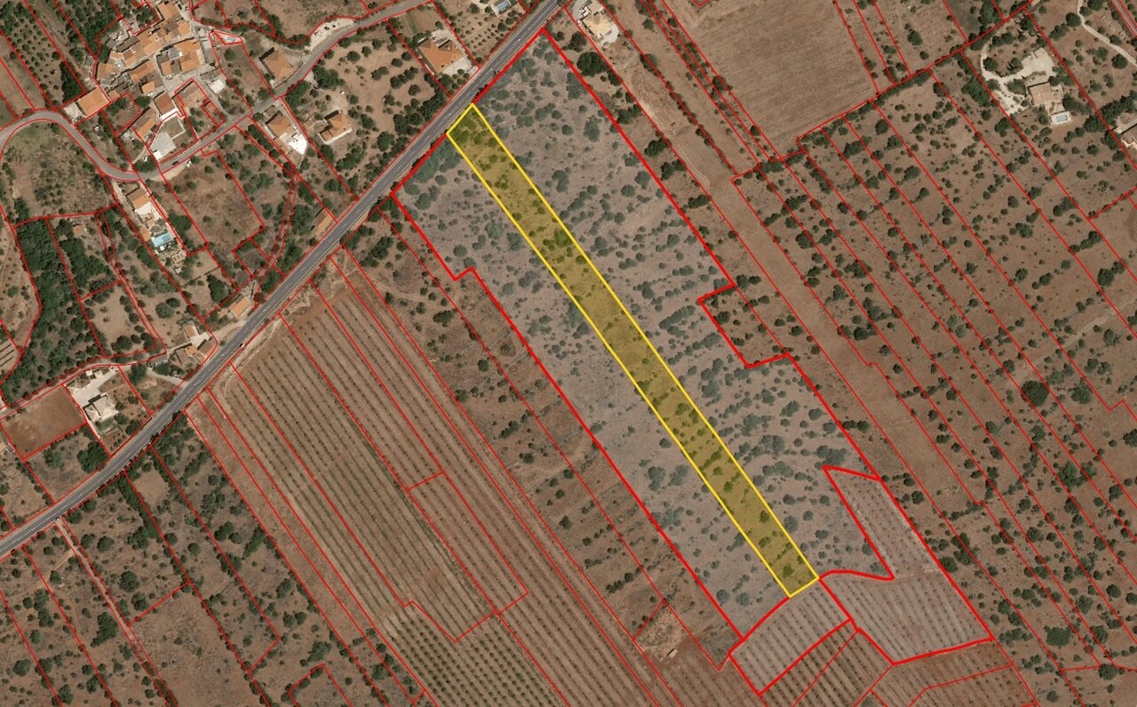Rustic Land for Citrus Orchard - São Bartolomeu de Messines